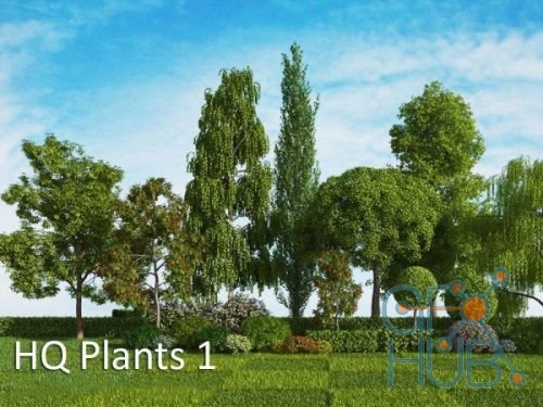 HQ Plants vol.1 for Cinema 4D