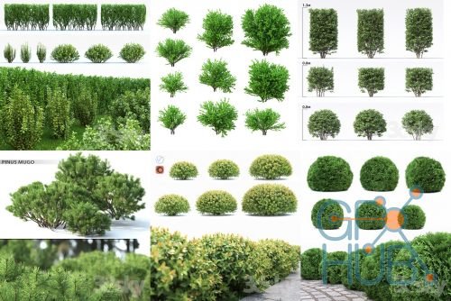 3Dsky PRO models Exterior Plants download free