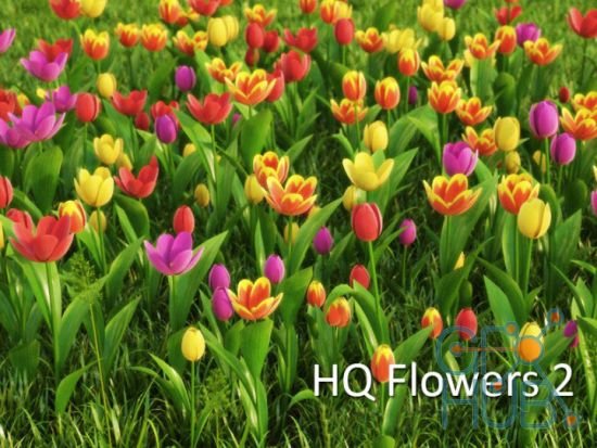 vrayc4d – HD Flowers vol.2 for Cinema 4D