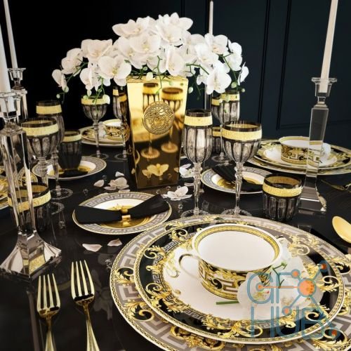 Rosenthal Versace Prestige-Gala dishes set