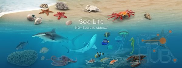 PixelSquid – Sea Life Collection