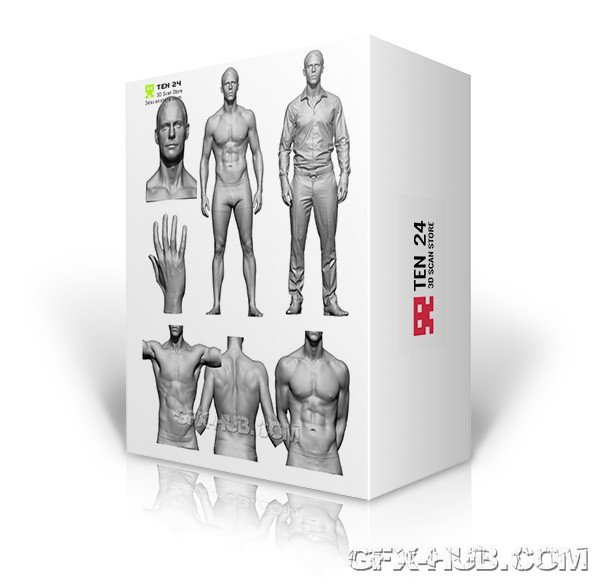 3D Scan Store – Male Anatomy Bundle