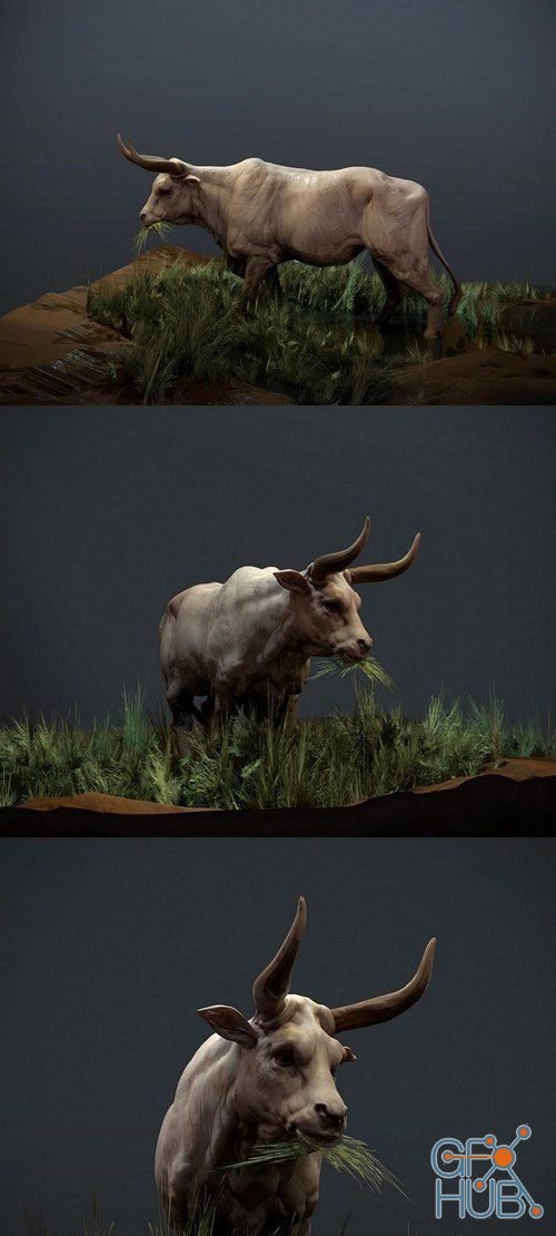 Cow