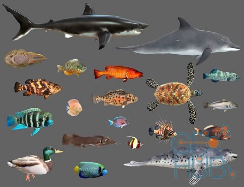 Cubebrush – Low poly Fish Collection Animated Pack 2