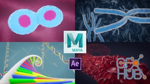 Skillshare – 3D Medical Animation in Autodesk Maya