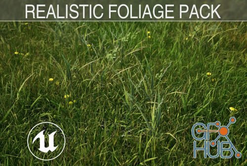 Cubebrush – Realistic Foliage Pack – UE4