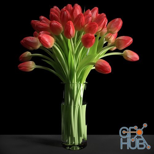Elegant bouquet of red tulips