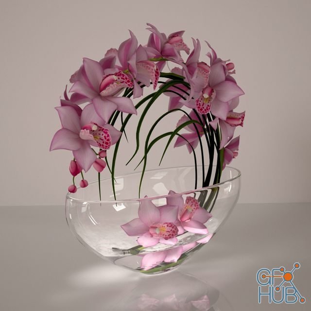 Orchid composition