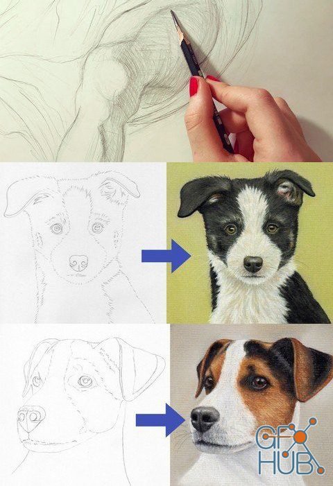 Skillshare – Three Drawing Tutorials