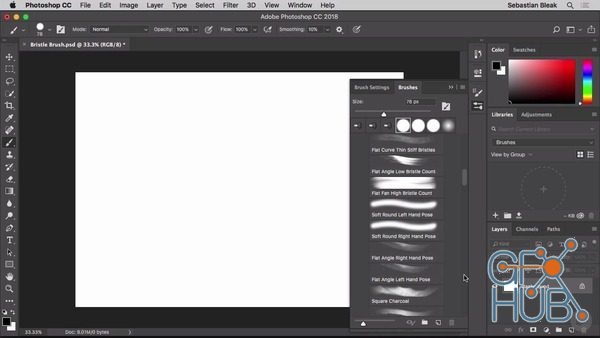 Photoshop CC Working with Brushes