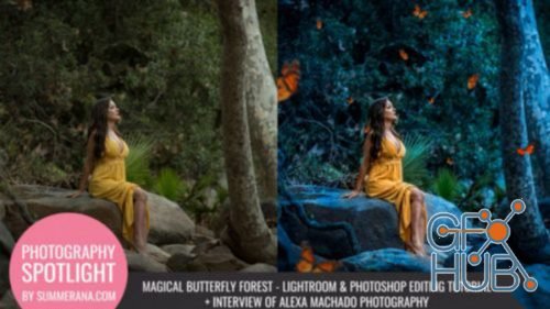Butterfly Forest - Magical Lightroom & Photoshop Edit