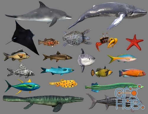 Cubebrush – Low poly Fish Collection Animated Pack 4
