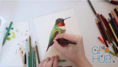 Skillshare -  Mixed Media Primer: Learn to Paint Faster, Fix Problems, and Have Fun Making Art