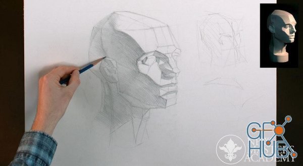 NMA - Russian Drawing Course Part 7: Planes of the Head Project