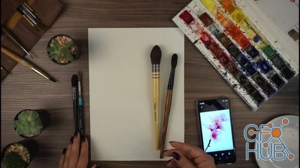 Skillshare - How to paint Cherry Blossom in Watercolor: step by step guide to aquarelle FLOWERS