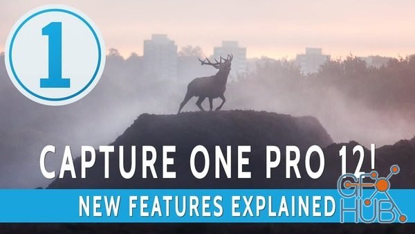 Capture One Pro 12.0.1.57 Service Release Win x64