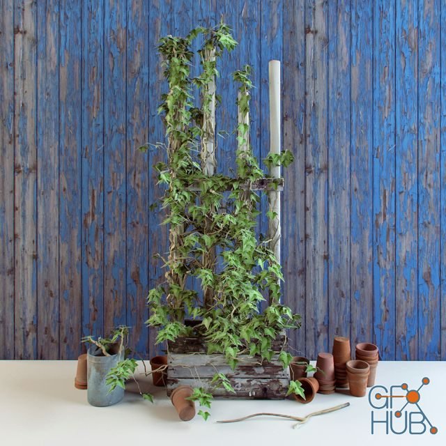 Decorative set with climbing plants