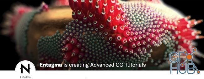 Entagma – Patreon Advanced CG Tutorials (Updated: Janury 2019)