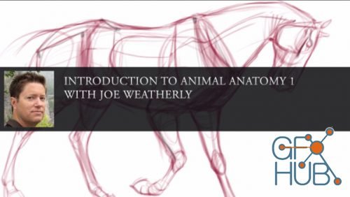 NMA - Introduction to Animal Anatomy 1 with Joe Weatherly