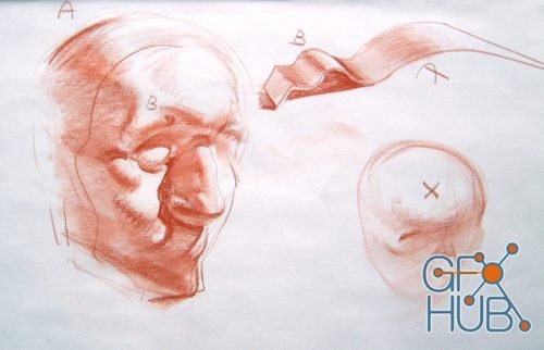 NMA - Constructive Head Drawing: Week 1 | Introduction to Skull Structure with Glenn Vilppu