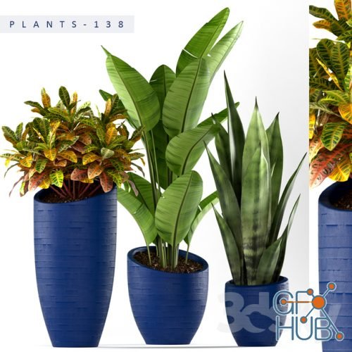 Plants in blue pots