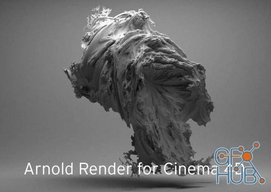 Solid Angle Cinema 4D to Arnold 2.4.5 for Cinema 4D R18-R20