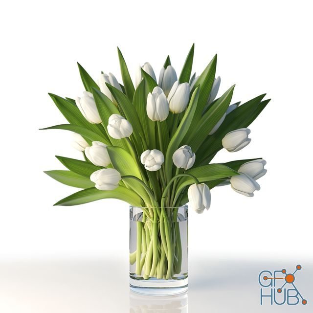 Glass of water with white tulips