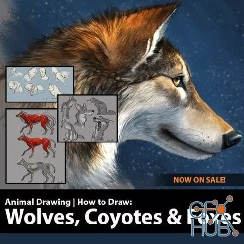CreatureArtTeacher – Aaron Blaise – How to Draw Wolves, Coyotes & Foxes