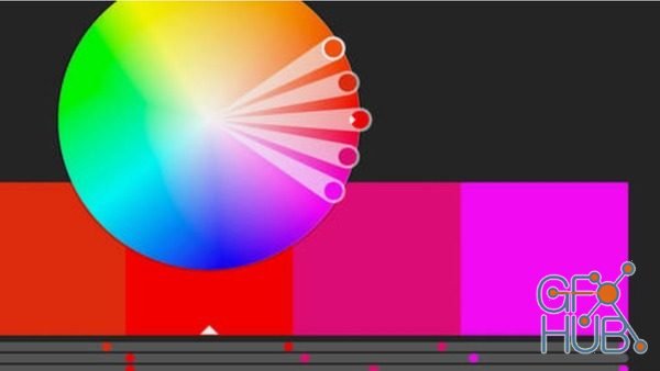 CreativeLIVE – Working with Color Tools in Illustrator