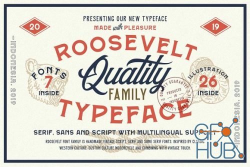 Roosevelt Font Family (Font Bundle) 3420351