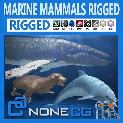 Cgtrader – Pack – Marine Mammals 3D model