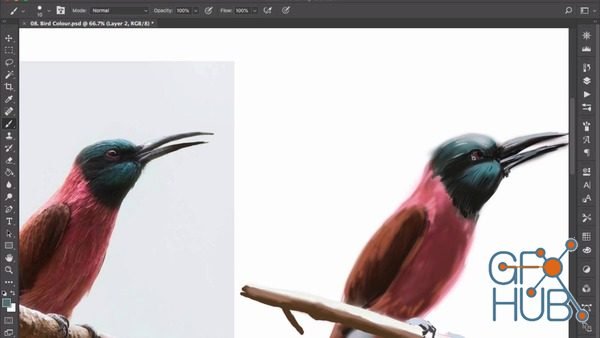 Skillshare – Learn to Draw and Paint in Photoshop