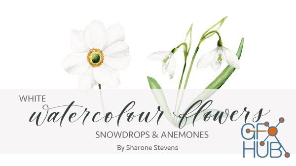 Skillshare - Watercolour: How to Paint White Flowers