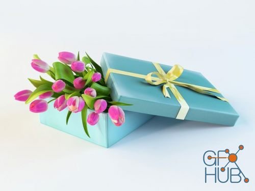 Tulips in a blue box