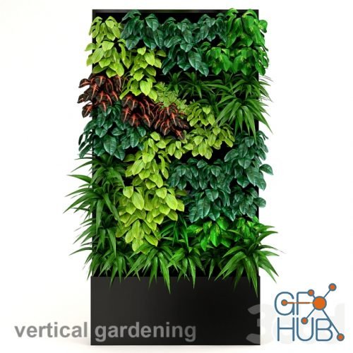 Vertical gardening by Orliwall