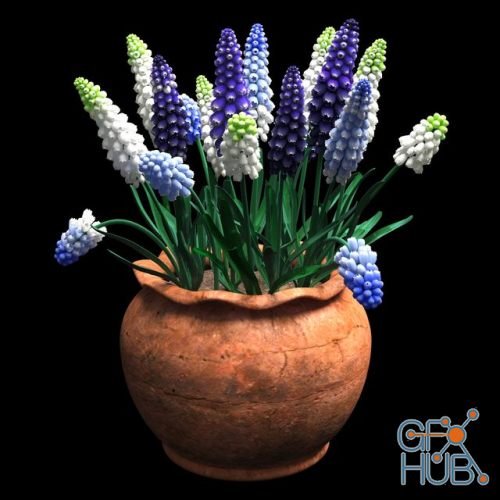 Bouquet with muscari