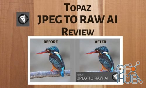 Topaz JPEG to RAW AI v2.0.1 Win x64
