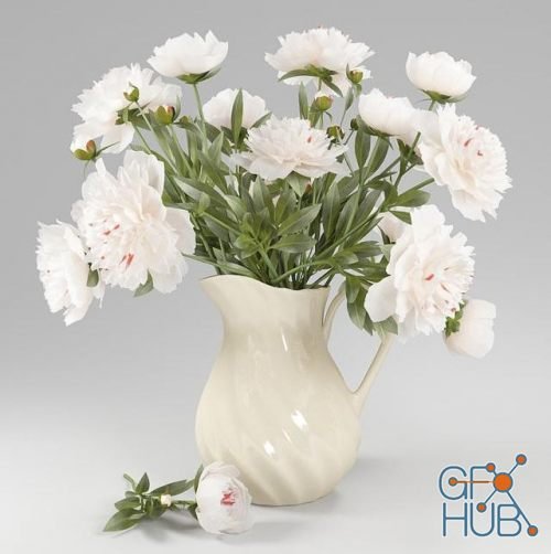 White peonies in a jug