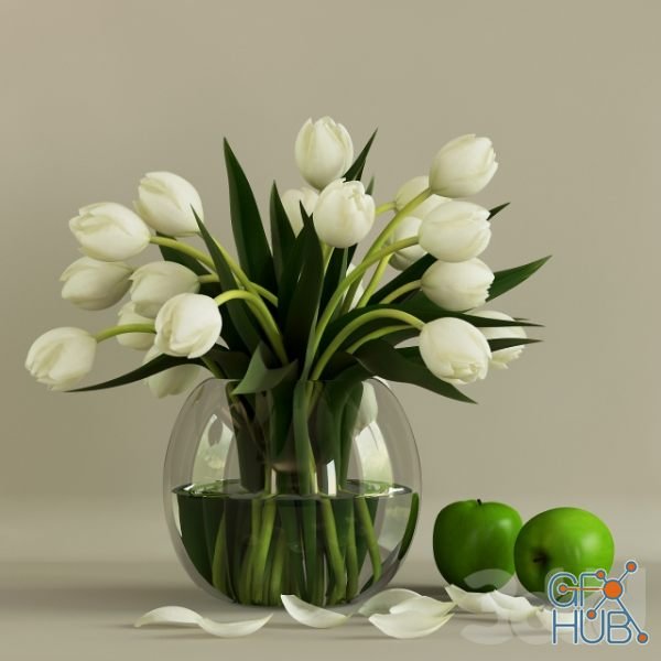 Vase with tulips and apples