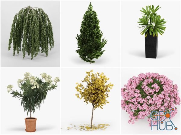 CGTrader – Plants Set 3D-Models Collection