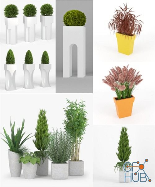 CGTrader – Plants Set 3D-Models Collection Pt. 3