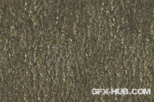 AsileFX Bark Seamless Textures