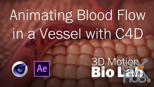 Skillshare – Animating Blood Flow in a Vessel with C4D