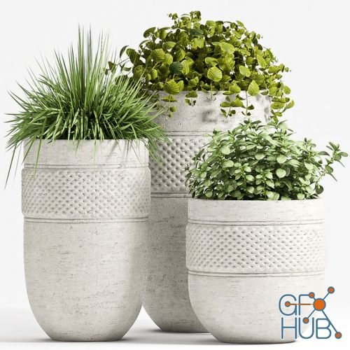 Modern flowerpots with plants