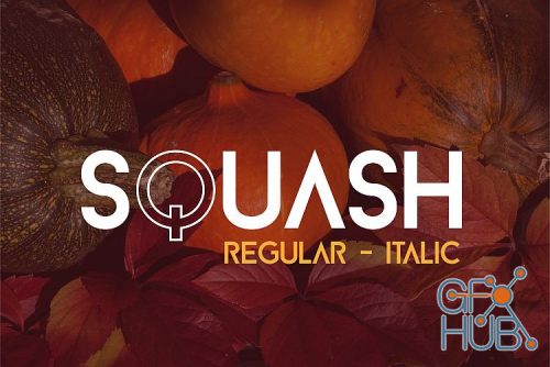 Fontbundles - Squash Font