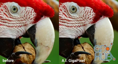 Topaz Gigapixel AI 4.1.1 (x64)