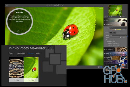 InPixio Photo Maximizer Pro 5.0.7075.29908 Multilingual + Portable