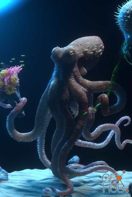 UNHIDE School – Octopus Date – Part 1 – 3D