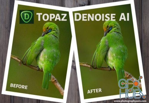 Topaz DeNoise AI 1.1.2t Win x64