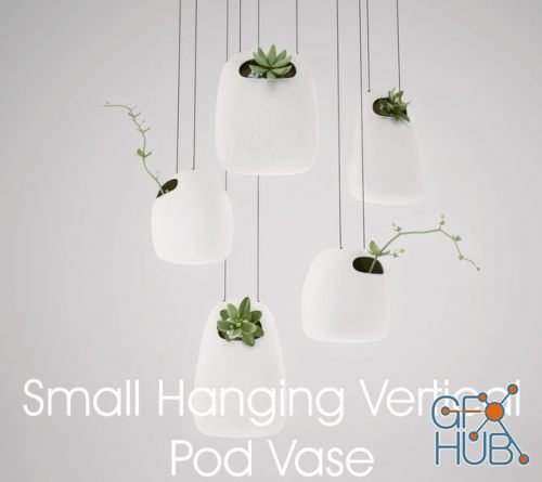 Small Hanging Vertical Pod Vase